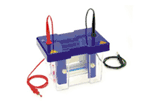 垂直電泳槽 Mini Vertical Gel Electrophoresis Apparatus